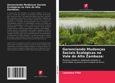 Bookcover of Gerenciando Mudanças Sociais Ecológicas no Vale do Alto Zambeze: