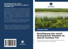 Bookcover of Bewältigung des sozial-ökologischen Wandels im oberen Sambesi-Tal:
