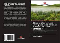 Buchcover von Gérer le changement écologique et social dans la haute vallée du Zambèze :