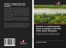 Gestire il cambiamento socio-ecologico nell'Alta Valle dello Zambesi: kitap kapağı