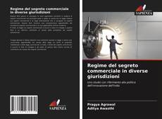 Regime del segreto commerciale in diverse giurisdizioni kitap kapağı