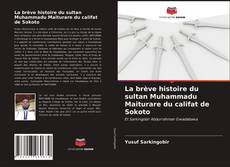 Buchcover von La brève histoire du sultan Muhammadu Maiturare du califat de Sokoto