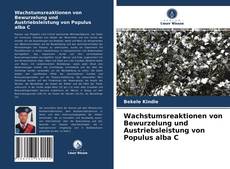 Capa do livro de Wachstumsreaktionen von Bewurzelung und Austriebsleistung von Populus alba C 
