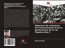 Copertina di Réponses de croissance de l'enracinement et de la performance de tir de Populus alba C