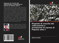 Bookcover of Risposte di crescita del radicamento e prestazioni di ripresa di Populus alba C