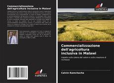 Commercializzazione dell'agricoltura inclusiva in Malawi的封面