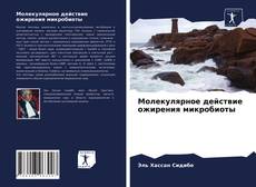 Bookcover of Молекулярное действие ожирения микробиоты
