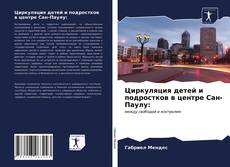 Bookcover of Циркуляция детей и подростков в центре Сан-Паулу: