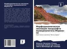 Bookcover of Морфодинамическая эволюция ландшафта муниципалитета Морено-пе