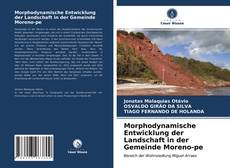 Buchcover von Morphodynamische Entwicklung der Landschaft in der Gemeinde Moreno-pe