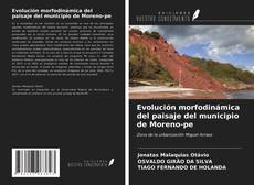 Buchcover von Evolución morfodinámica del paisaje del municipio de Moreno-pe