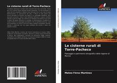 Le cisterne rurali di Torre-Pacheco的封面