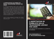 L'ASPETTATIVA DI PUBBLICO SULLA TELEVISIONE LOCALE VIA CAVO kitap kapağı