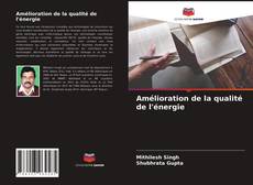 Copertina di Amélioration de la qualité de l'énergie