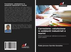 Corrosione: valutazione in ambienti industriali e marini kitap kapağı