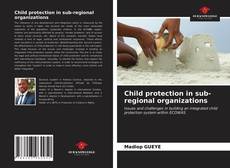 Portada del libro de Child protection in sub-regional organizations