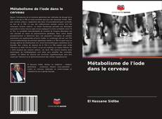 Portada del libro de Métabolisme de l'iode dans le cerveau