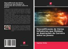 Copertina di Descodificação de Várias Influências que Moldam as Aspirações de Carreira entre os Jovens