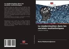 Capa do livro de La modernisation dans les sociétés multiethniques 
