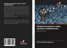 Copertina di Modernizzazione nelle società multietniche