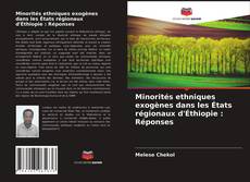 Portada del libro de Minorités ethniques exogènes dans les États régionaux d'Éthiopie : Réponses