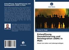 Entwaffnung, Demobilisierung und Reintegration (DDR) in Mali: kitap kapağı