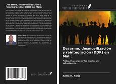 Buchcover von Desarme, desmovilización y reintegración (DDR) en Malí: