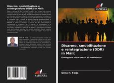 Bookcover of Disarmo, smobilitazione e reintegrazione (DDR) in Mali: