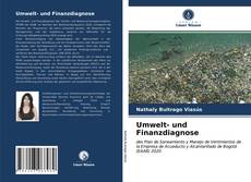 Bookcover of Umwelt- und Finanzdiagnose