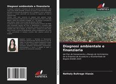 Bookcover of Diagnosi ambientale e finanziaria