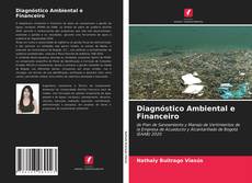 Diagnóstico Ambiental e Financeiro的封面