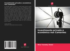 Couverture de Investimento privado e económico nos Camarões