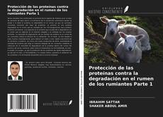 Bookcover of Protección de las proteínas contra la degradación en el rumen de los rumiantes Parte 1