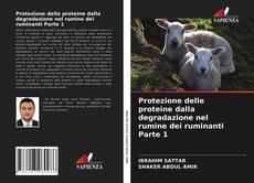 Bookcover of Protezione delle proteine dalla degradazione nel rumine dei ruminanti Parte 1