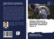 Bookcover of Защита белков от деградации в рубце жвачных животных Часть 1