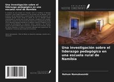 Bookcover of Una investigación sobre el liderazgo pedagógico en una escuela rural de Namibia