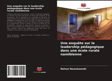 Buchcover von Une enquête sur le leadership pédagogique dans une école rurale namibienne