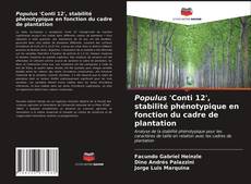 Bookcover of Populus 'Conti 12', stabilité phénotypique en fonction du cadre de plantation