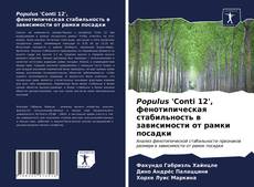Bookcover of Populus 'Conti 12', фенотипическая стабильность в зависимости от рамки посадки