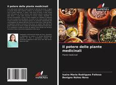 Buchcover von Il potere delle piante medicinali