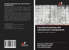 Copertina di Caratterizzazione dei calcestruzzi autoposanti