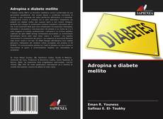 Adropina e diabete mellito的封面