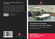 Borítókép a  Princípios de Cuidados Intensivos, CCU, UTI e Diálise - hoz