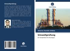 Umweltprüfung kitap kapağı