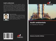 Audit ambientale kitap kapağı