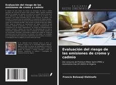 Bookcover of Evaluación del riesgo de las emisiones de cromo y cadmio