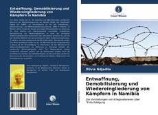 Обложка Entwaffnung, Demobilisierung und Wiedereingliederung von Kämpfern in Namibia