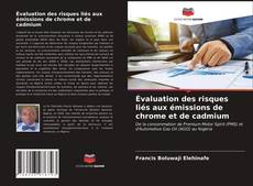 Couverture de Évaluation des risques liés aux émissions de chrome et de cadmium