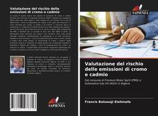 Valutazione del rischio delle emissioni di cromo e cadmio的封面