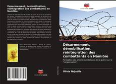 Copertina di Désarmement, démobilisation, réintégration des combattants en Namibie